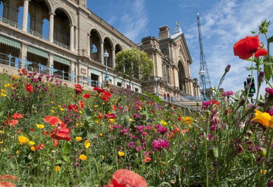 Alexandra Palace